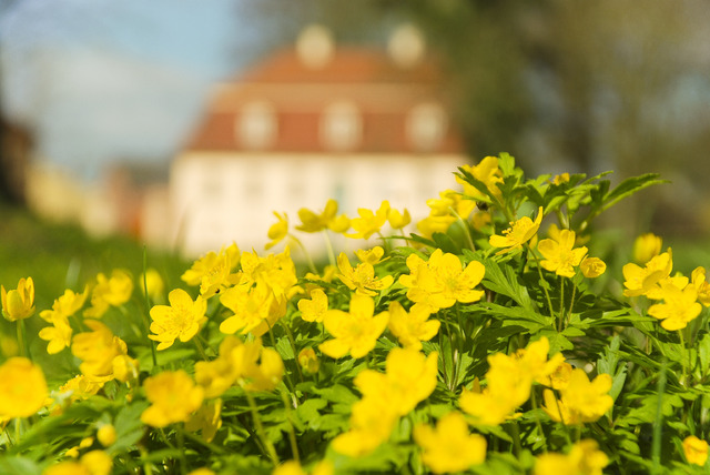 Urlaub im Schloss - Restaurant Spreewald - Urlaub Spreewald - Schlosshotel Brandenburg - Schloss Lübbenau im Spreewald