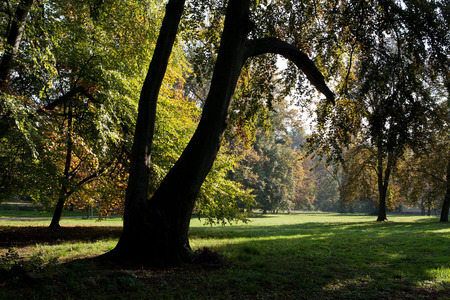 Spreewald erleben - Schloss Brandenburg - Kurzurlaub Spreewald - Schloss Lübbenau im Spreewald